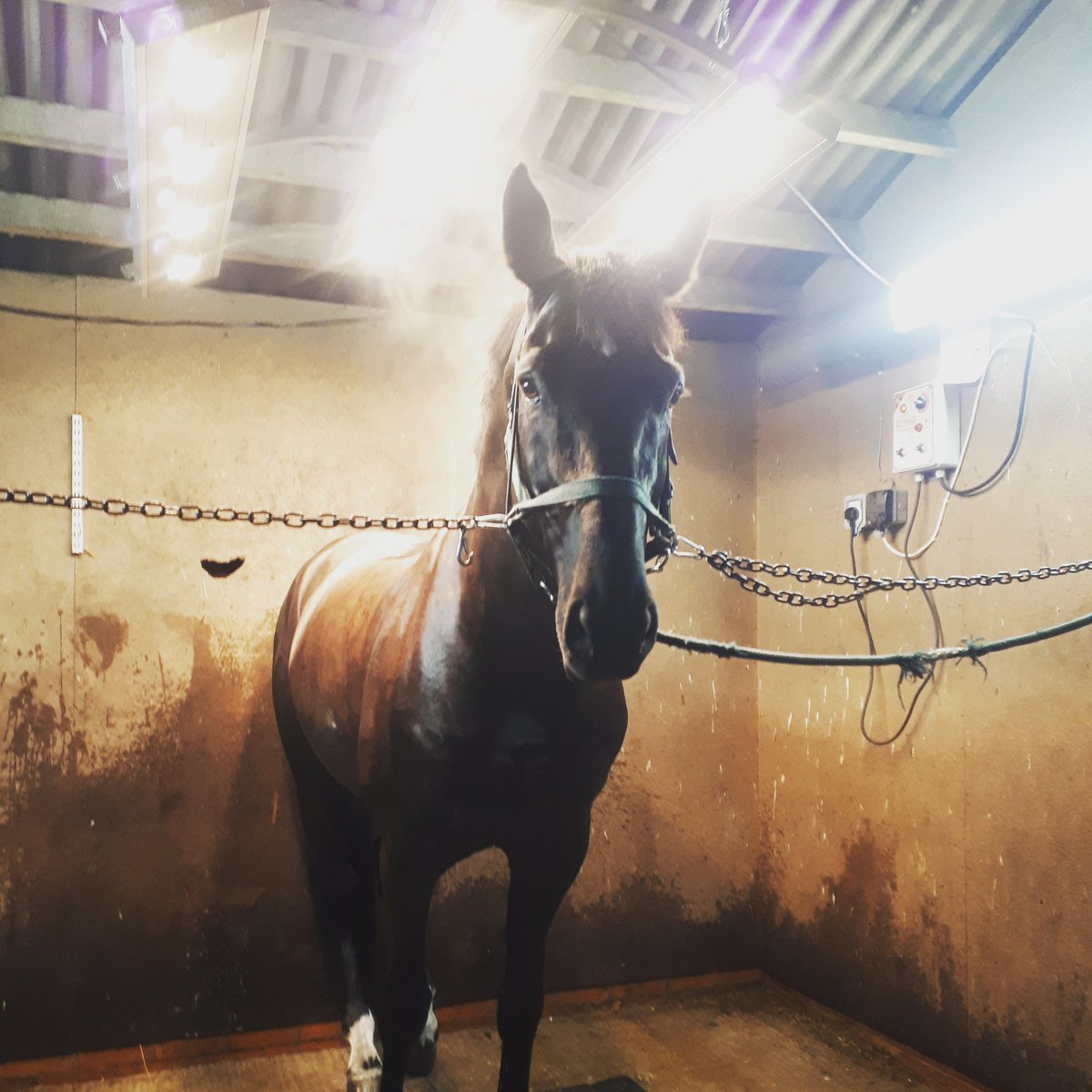 Hill90C's tweet photo. Keeping warm this winter #winter #solaruim #drying https://t.co/LejYAJF3lg