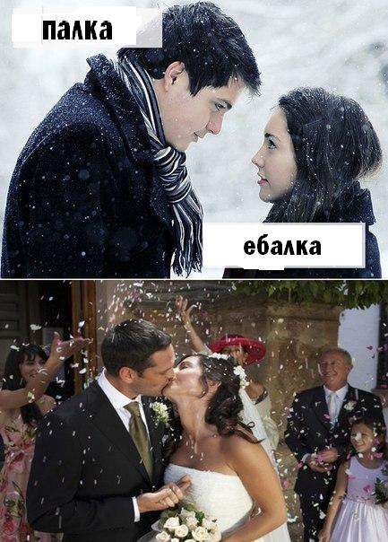 vtodd4's tweet photo. Зашла в твиттер шоб кинуть вам ржаку https://t.co/J9KStuDtma
