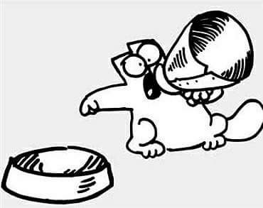 FatKatzAbq's tweet photo. ISO....

A Tuesday morning volunteer from 9 a.m. to 11 a.m. at Petco. Kitty play time, feed, water, clean litter and tidy up cat room.  

Training will be provided. Please email us at FatKatzAbq@gmail.com if you can sign up to be a weekly volunteer.  

Please share!!! https://t.co/CgZYuMYd1K