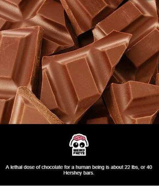 Probably how Remus wants to die I think.