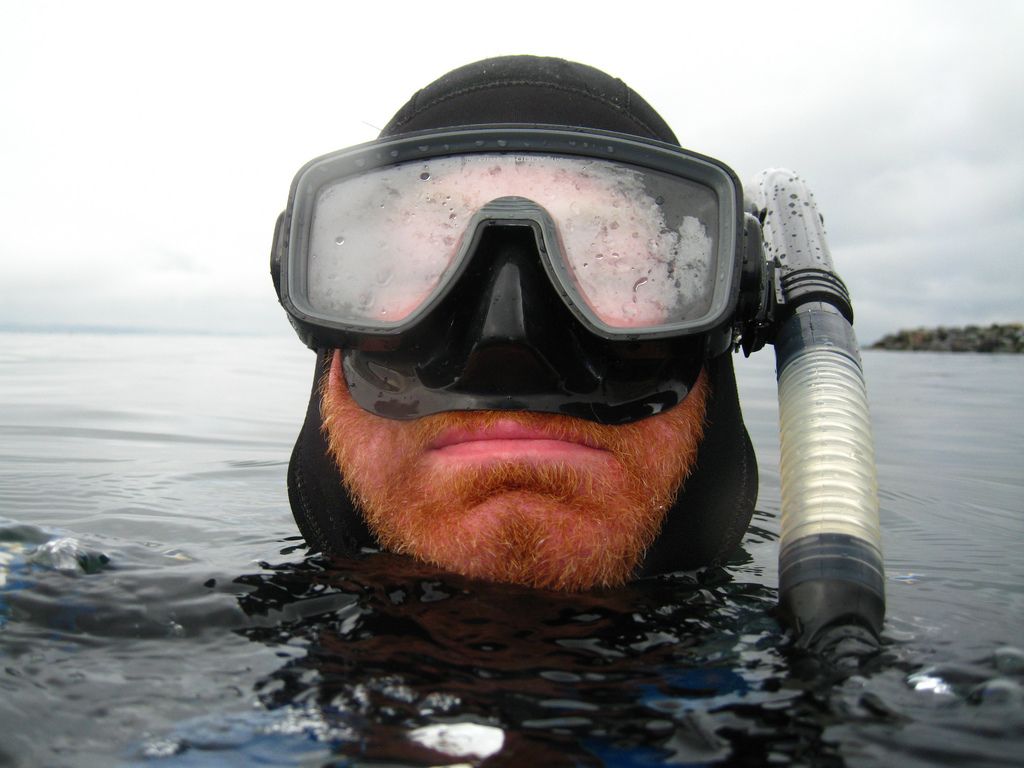 AWE365's tweet photo. The best #scuba mask is the one that fits you properly, but if one of these top 10 scuba #diving masks fits then you're in luck as they are the best for diver comfort, vision and avoiding fogging: https://t.co/wkZ2FATTJd
#DiveMasks #ScubaMasks #DivingMasks https://t.co/YYtQJdFE5m