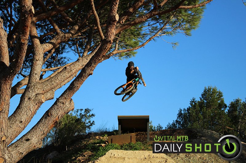 Turnbar tuck under a tree. #vitalmtbdailyshot vitalmtb.com/photos/member/…