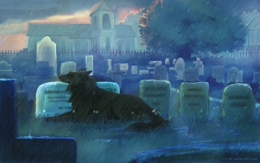 //I WAS FINDING SUCH NICE THINGS UNTIL--