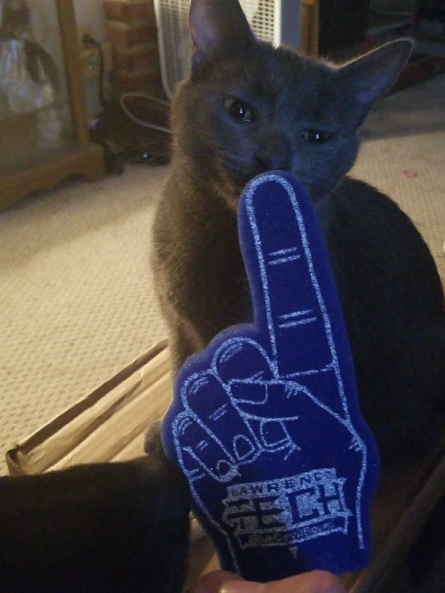 AudacityV's tweet image. #BlueDevilBound