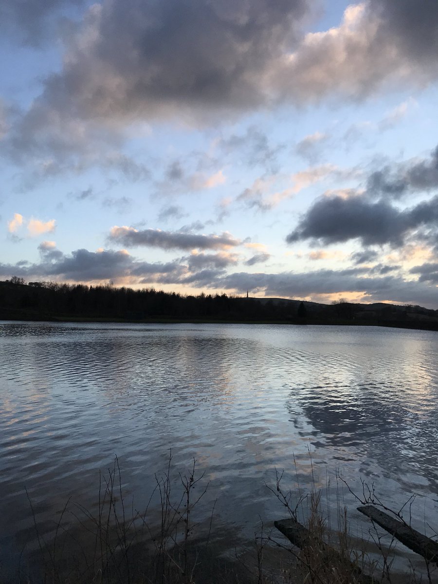 hiurbanwanderer's tweet photo. Ooh what a good #Saturday I’ve had! An afternoon hilly walk around #MacclesfieldForest with @JitGo Features included trees, #Ridgegate Reservoir, dogs ahoy-hoy, views & even the last glimpses of the setting sun! How did you get your #weekendmiles? #sunset #happinessoutdoors #mcr https://t.co/FumdoNieaA