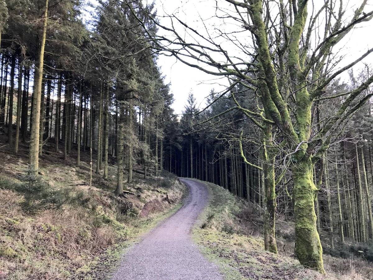 hiurbanwanderer's tweet photo. Ooh what a good #Saturday I’ve had! An afternoon hilly walk around #MacclesfieldForest with @JitGo Features included trees, #Ridgegate Reservoir, dogs ahoy-hoy, views & even the last glimpses of the setting sun! How did you get your #weekendmiles? #sunset #happinessoutdoors #mcr https://t.co/FumdoNieaA