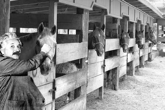 This is a stable genius.