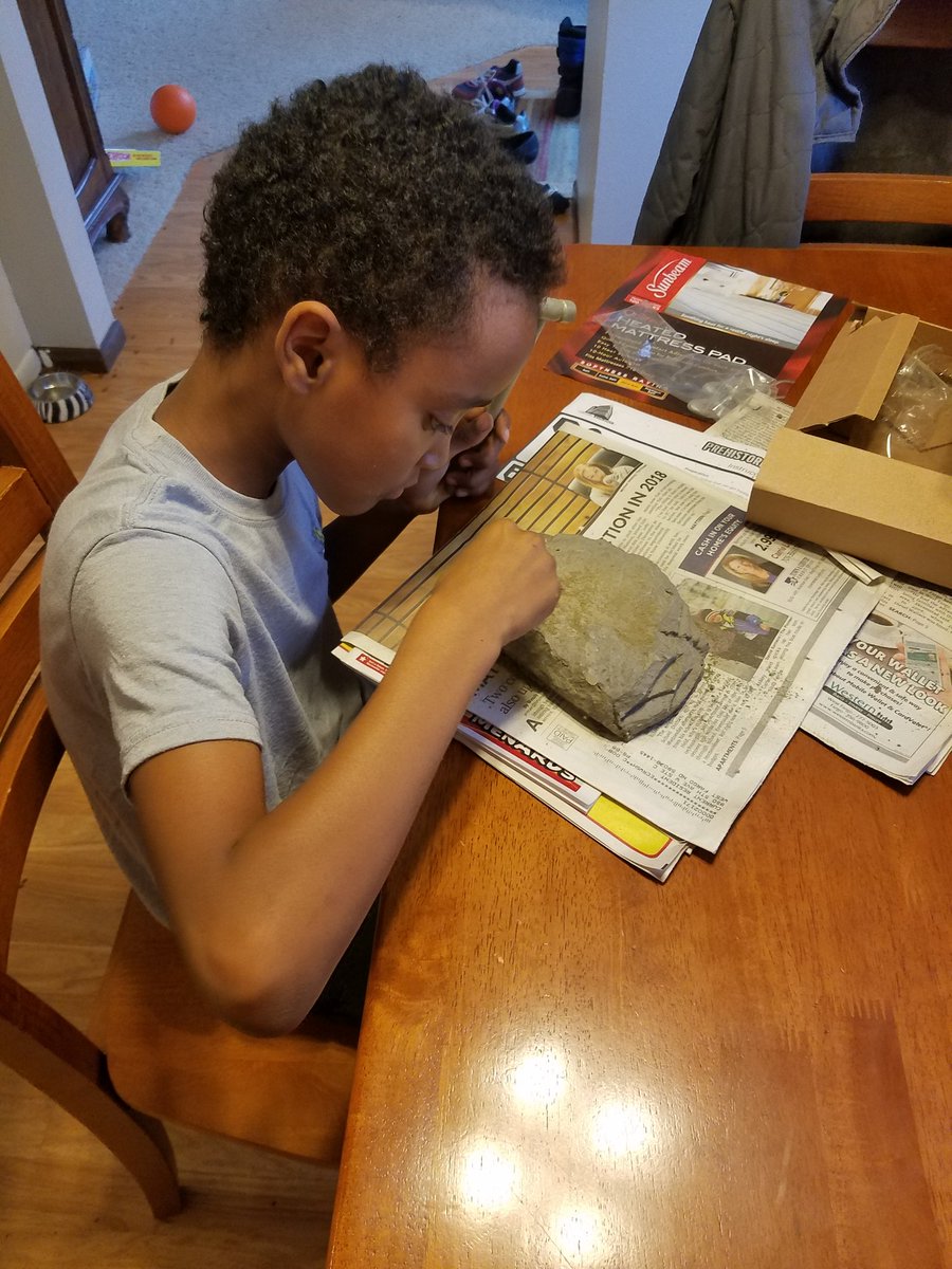 TeriLBrown91's tweet photo. When it's too cold to go outside, he goes digging for #dinosaurs. #paleontology #dinoxteam #virtualexplorer https://t.co/tZ4emaQX8g