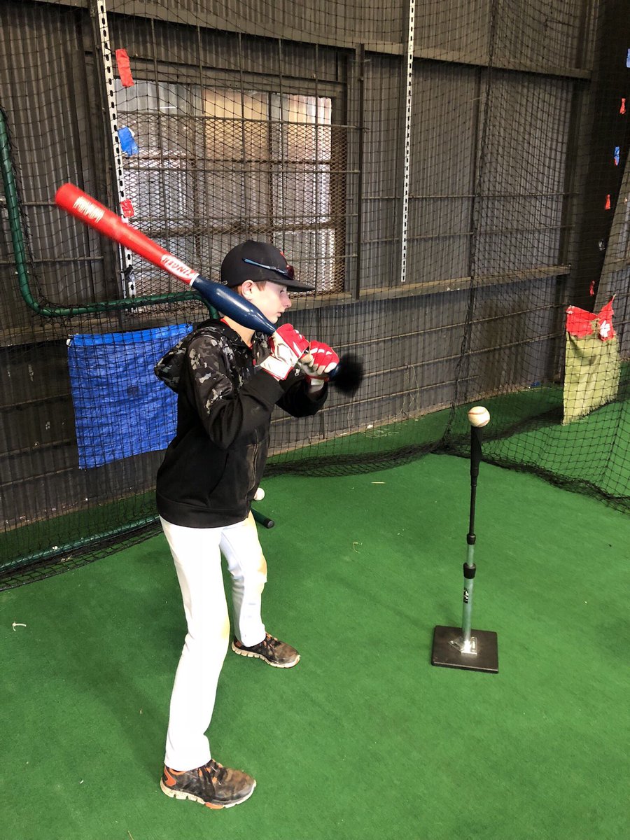 zinger training bats