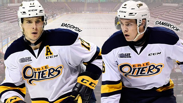 X - Soo Greyhounds tweet media