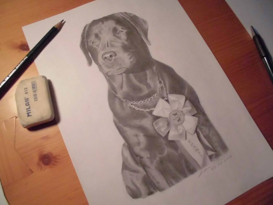 Eithan Markov tweet media