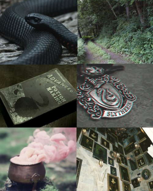 Cʀᴏɴᴏʟᴏɢɪ́ᴀ ᴅᴇ Eʀɪɴ Rʏᴍᴇʀ Hʏᴅᴇ.