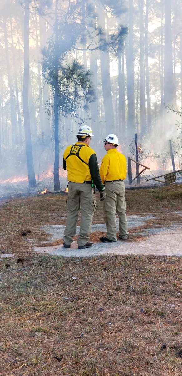 Air Force Wildland Fire Branch team members from Avon Park are assisting Tyndall Air Force with prescribed burning this weekend.