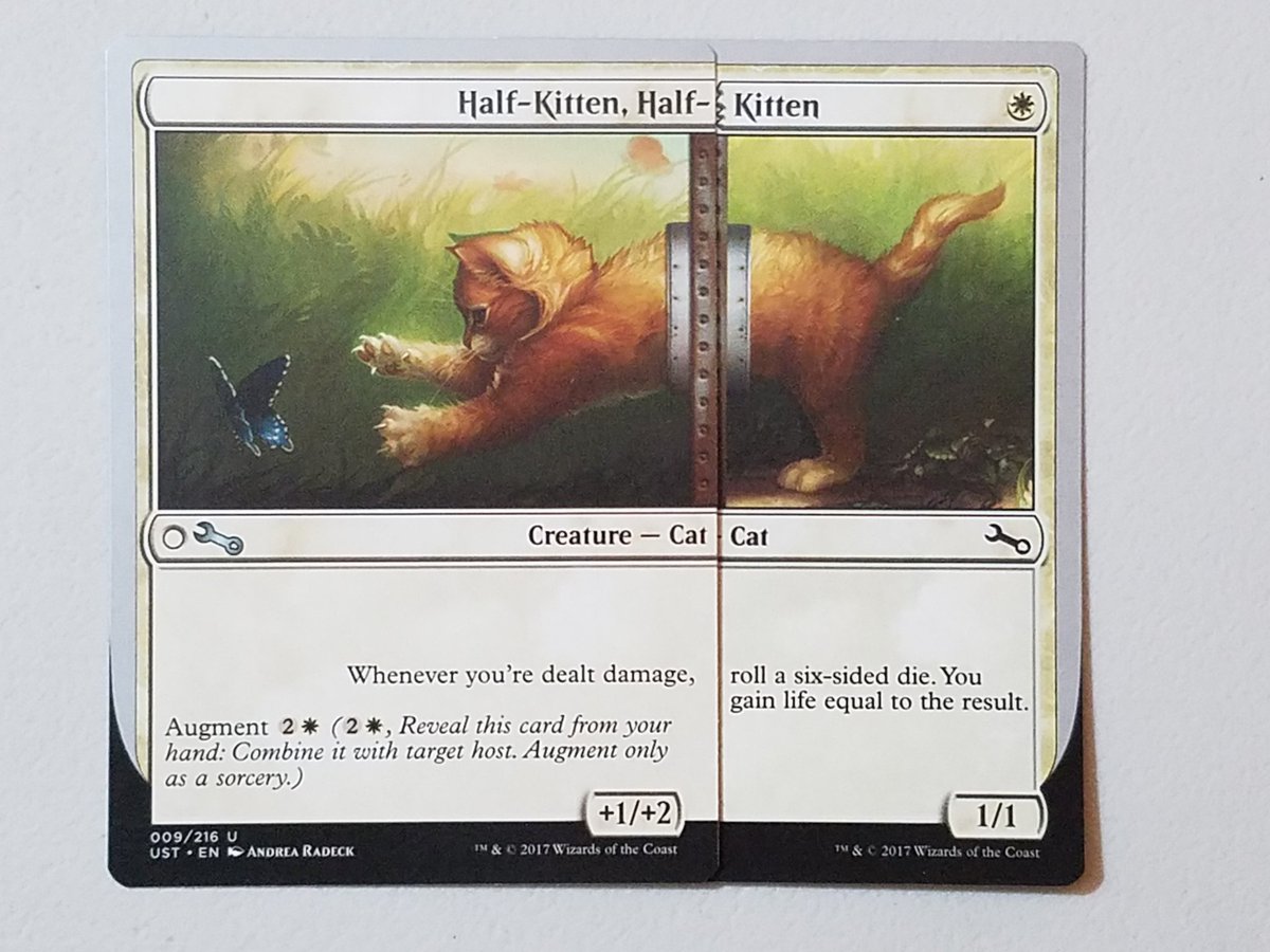 theclearedtable's tweet photo. What fresh horrors has science wrought this time? Half-kitten half-kitten is a step too far. #MtG #MTGUN3 #MTGUST https://t.co/rQVz7BRo97