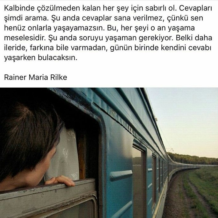 Yetiş Fidan MUTLU (@fidanyetis) on Twitter photo 