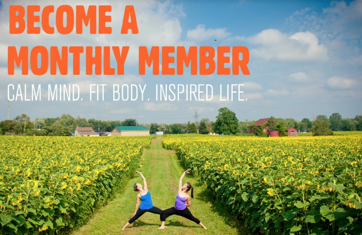 modohamilton's tweet photo. Did you know there are so many perks to a monthly membership? Not only are you supported by an amazing community, you receive 10% off of every purchase, special pricing for workshops. #joinus #nextlevelpractice #becomeamember https://t.co/kJjVwm7rPW