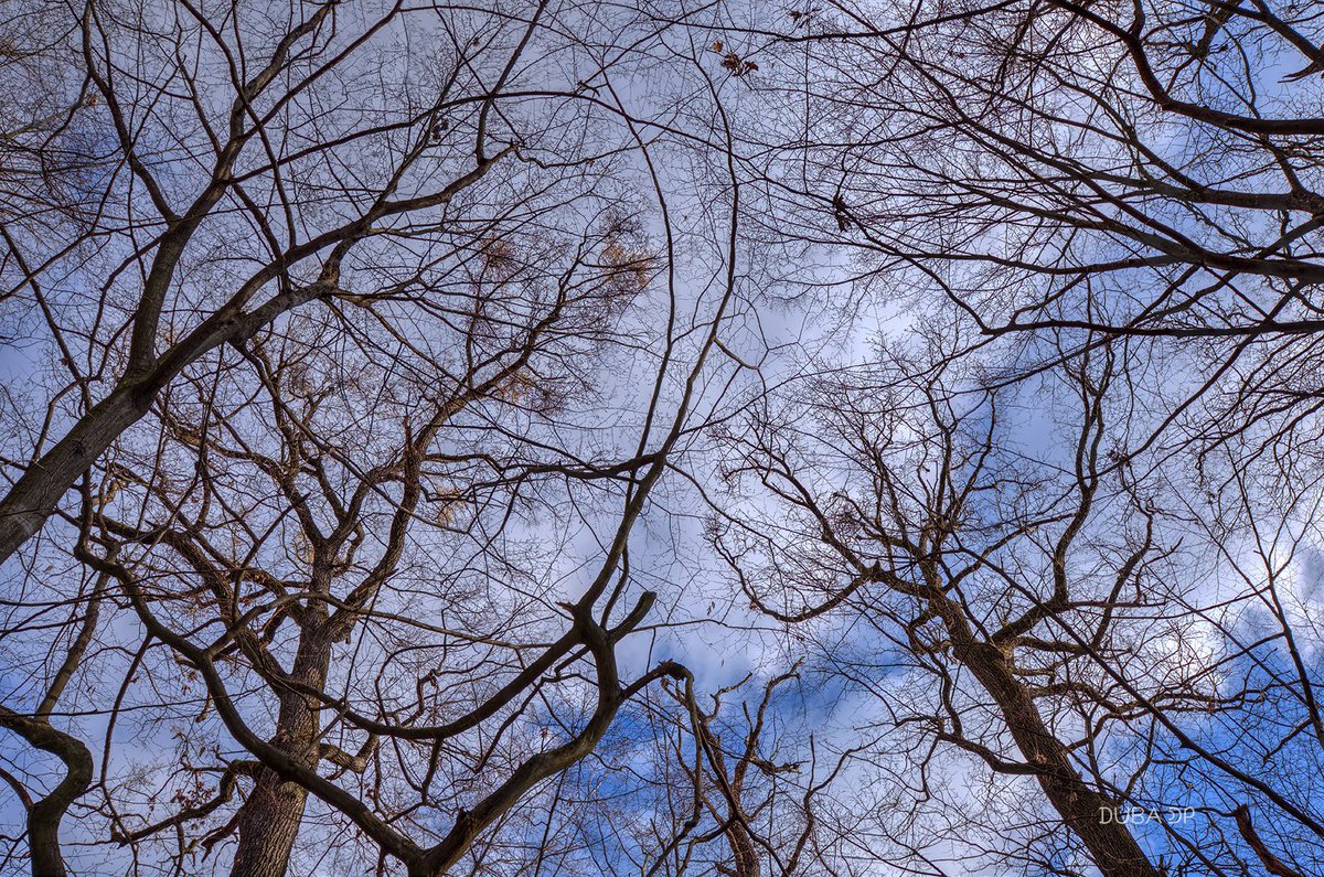 duba912's tweet photo. free your mind #nebo #sky #maksimir #Zagreb #landscape #nature #naturelovers #NaturePhotography #park #Croatia https://t.co/qr0PkV072R