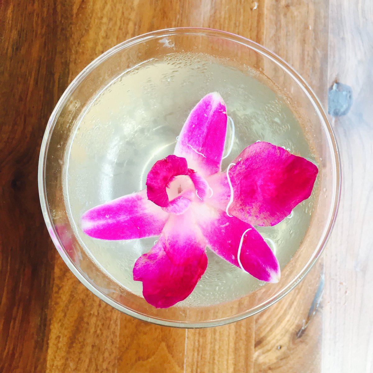 UMAYA DC - IZAKAYA tweet media