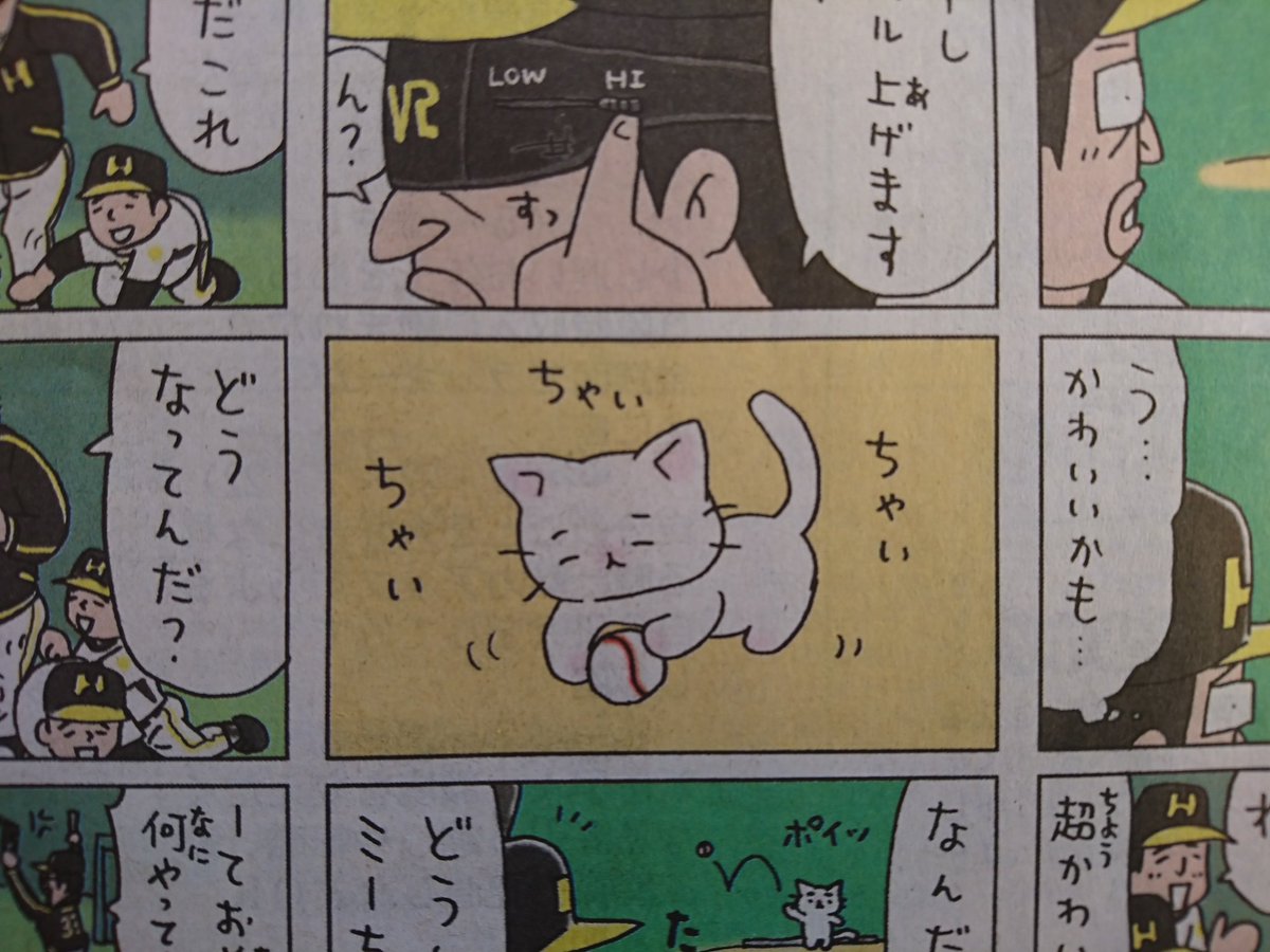 ひこにゃ ミ ちゃん 可愛い 猫ピッチャー ひこにゃ ミ ちゃん 可愛い 猫ピッチャー