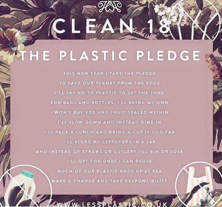 vitorinadw's tweet photo. I love this!  I've taken this pledge and I hope many more do too 💙 #plasticpollution #plasticfree #zerowaste #clean18 🐋 https://t.co/8G0VJHbBF3