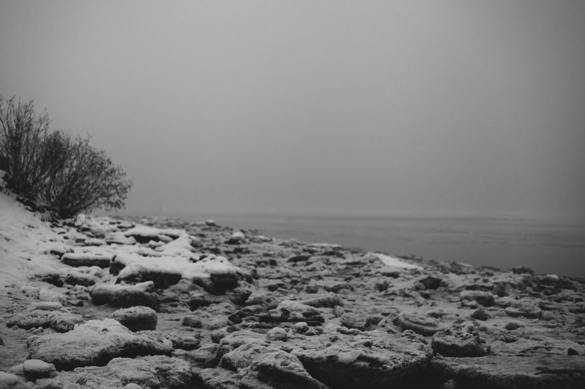 ZongMuas's tweet photo. They Call It, Zombie Weather. 

#PointWoronzof https://t.co/bM0bIBspWu