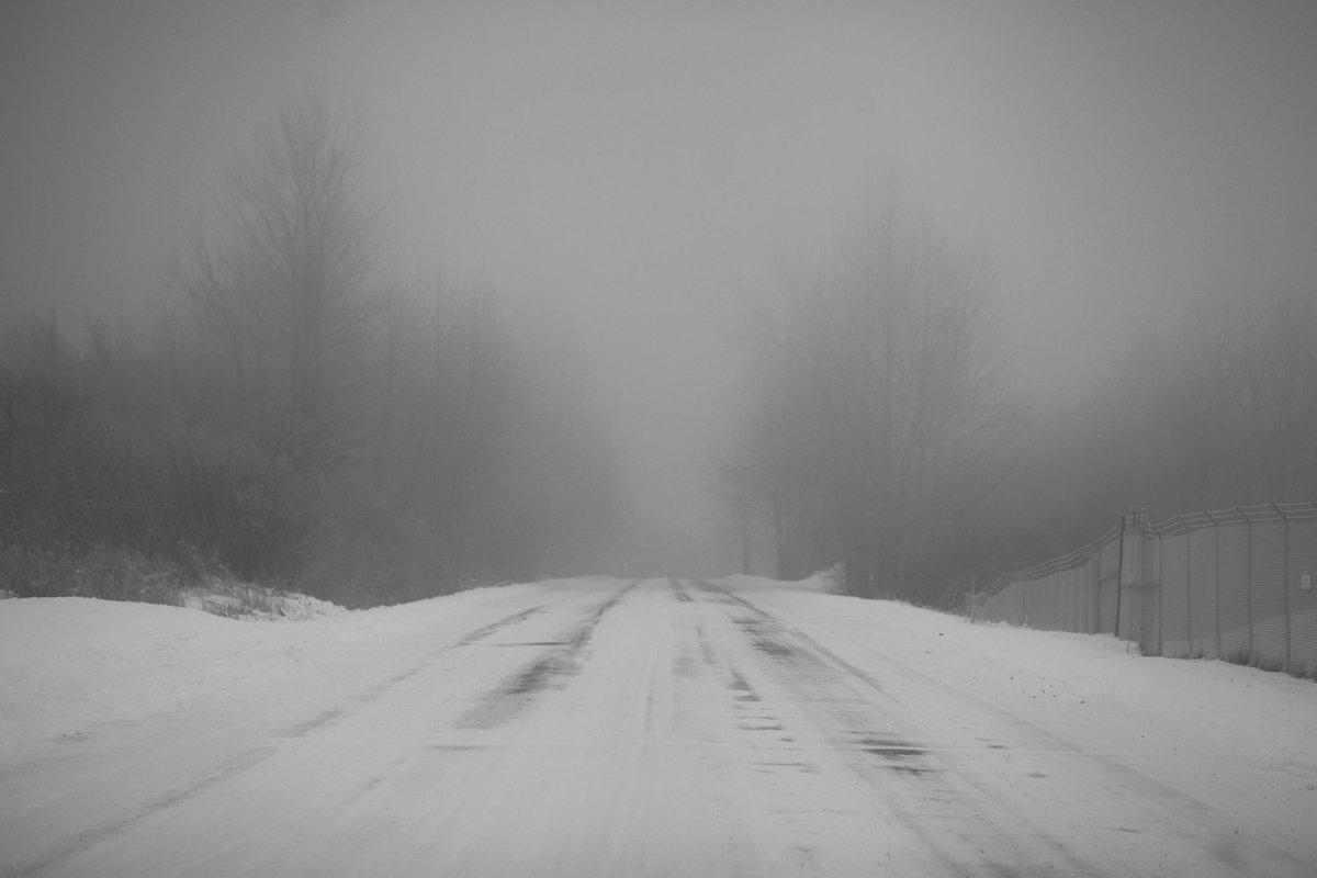 ZongMuas's tweet photo. They Call It, Zombie Weather. 

#PointWoronzof https://t.co/bM0bIBspWu