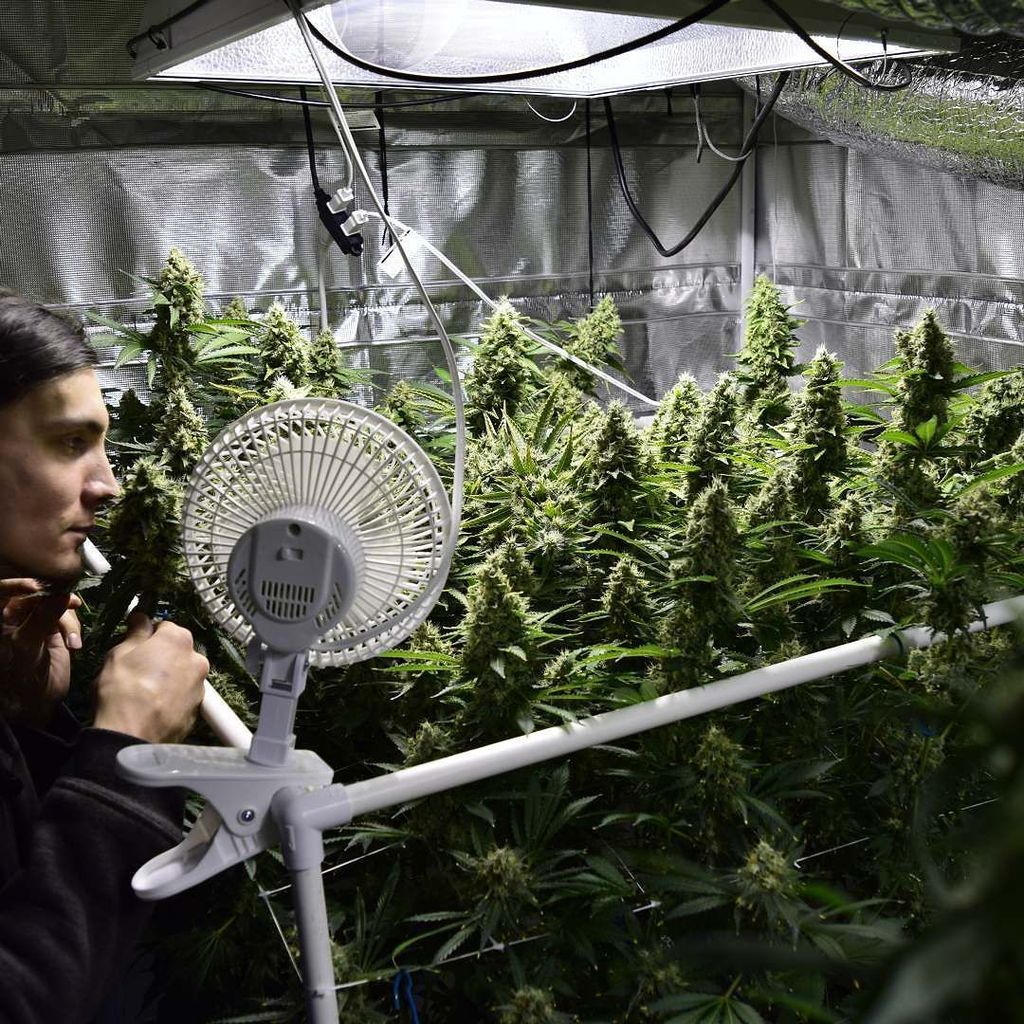 CoGrowSchool's tweet photo. Stop and smell the #flowers and #learntogrow them, with @_cogrowschool and @firstgrowhydro! Call or email to enroll! 1-970-725-3995 / info@coloradocannabisschool..net https://t.co/6VlgXe1nQQ https://t.co/hFQ1FdUlC1