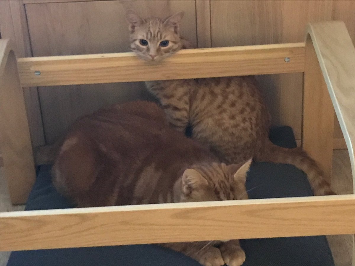 Adam Masters tweet media