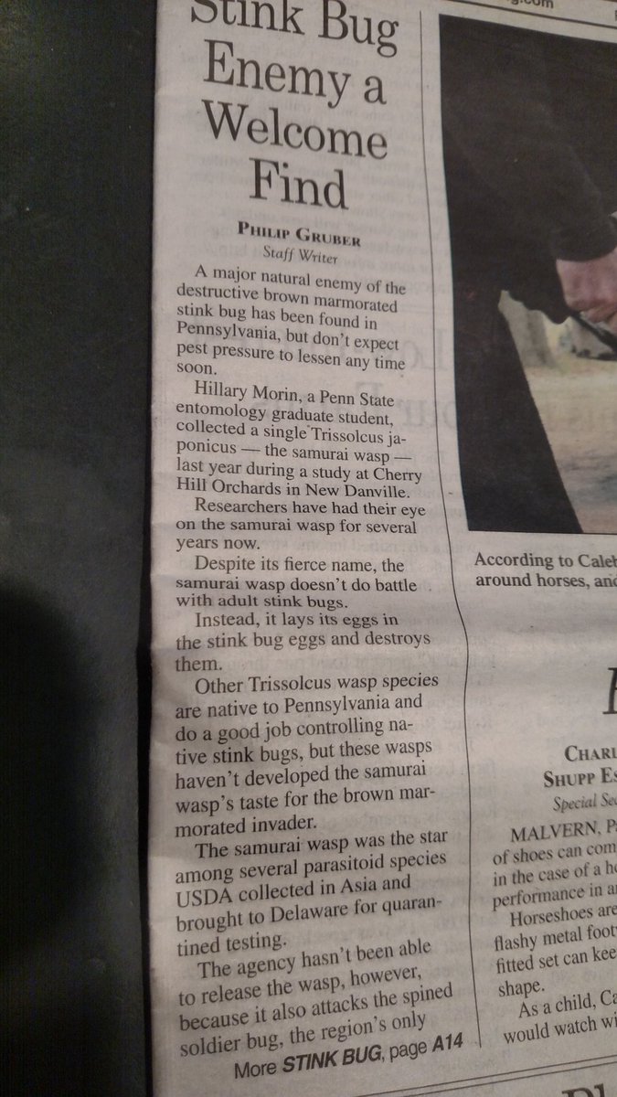 Must be #fakenews imagine another insect killing a pest... Imagine the possibility and money savings to farmer's who feel they must spray no matter what.. imagine this.  #buildit