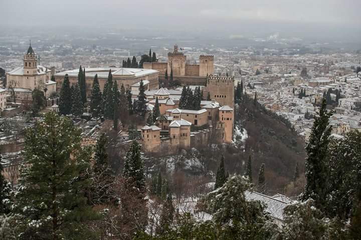 Monica4898's tweet photo. Cuando dicen que es la ciudad más bonita, no es por decirlo. #Granada #Nieve 😍 https://t.co/wC2BKr7N1a
