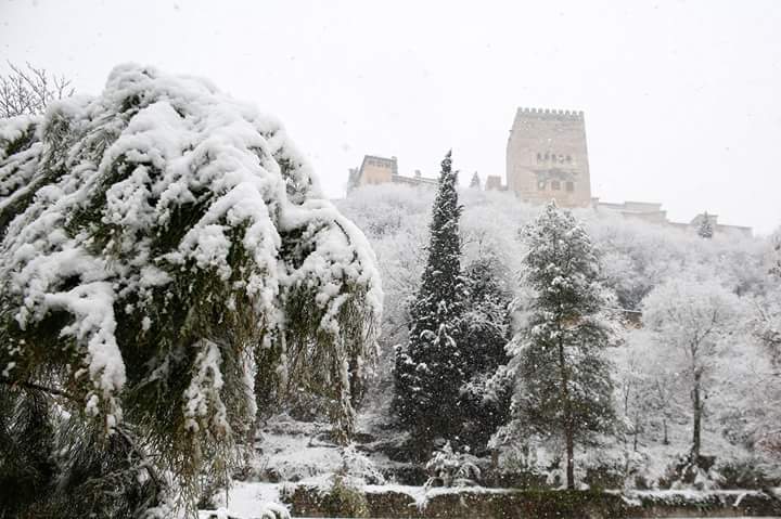 Monica4898's tweet photo. Cuando dicen que es la ciudad más bonita, no es por decirlo. #Granada #Nieve 😍 https://t.co/wC2BKr7N1a