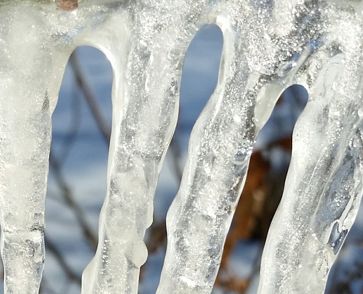 GardenOpus's tweet photo. FIRST A DRIP, then a torrent. Today was last of 12 consecutive highs below 20°F/-7°C, brief warmup & #MeltOff ahead, before next cold spell!❄ https://t.co/xoJ93V1TqA