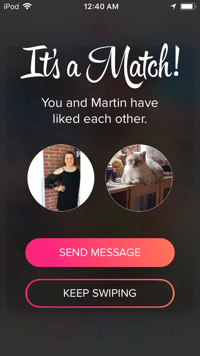 kvasatka's tweet photo. When you let your not single friends run your European tinder account you match with a cat and send inappropriate GIFs https://t.co/aNT0CtbgN1