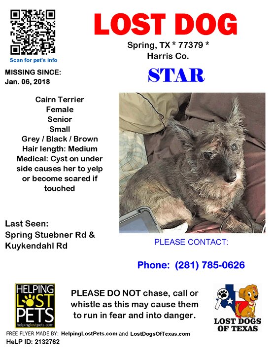 LostDogTX's tweet photo. Facebook link https://t.co/t9XOMrzkpP #Harris #LDOT LOST DOG Star 01-06-2018 https://t.co/E8an5yMuZu Harris Co., Spring (Spring Stuebner Rd &amp; Kuykendahl Rd), TX 77379. Star/ Female *** Cairn Terrier *** Grey / Black / Brown/ Senior/ Small (Under 20 lbs)/ Hair Length is Medium/… https://t.co/tE7JACXBxp