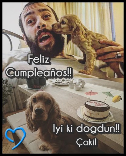 BarisIcerdeAR's tweet photo. @DenizGurzumar Happy Birthday Çakil! I have a daughter like her ♥ https://t.co/MmPEdY3Xef