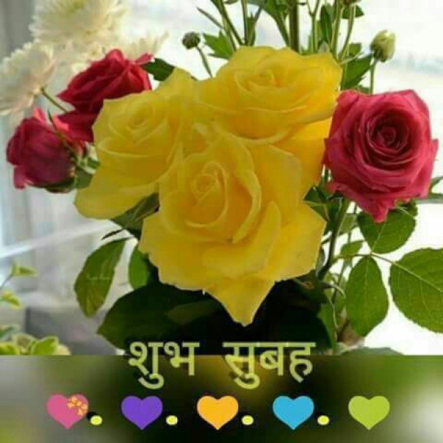 ranigill7's tweet photo. @VinnuVs @vijay2437888367 GOOD  MORNING H R U? THANKS FOR YOUR TWEETS AND RTS
  #LOVELYSUNDAY  #BRAND NEW DAY  ENJOY 
#HAVE A BRLLIANT WEEKEND
 #GOD BLESS https://t.co/4VlcVwdoWB
