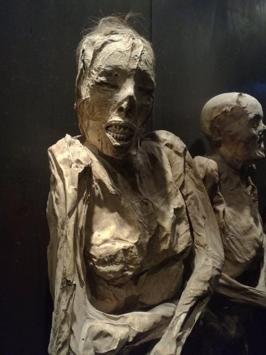 LikeBrothersYT's tweet photo. Holaaaa, aquí con las momias en #Guanajuato
Qué miedo!😱 https://t.co/97NsfcrNFz
