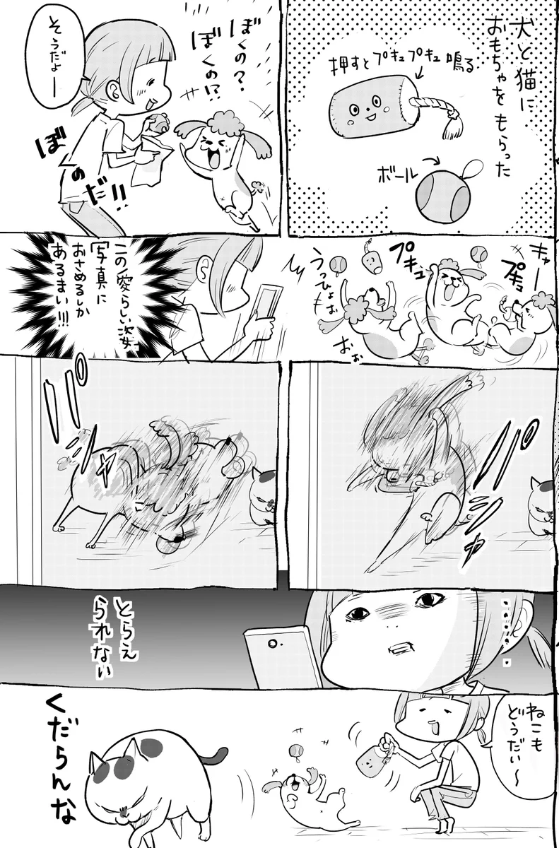 これぞ猫の美学ｗｗｗ絶対に、はしゃいでいる姿を撮らせてくれない説ｗｗｗ