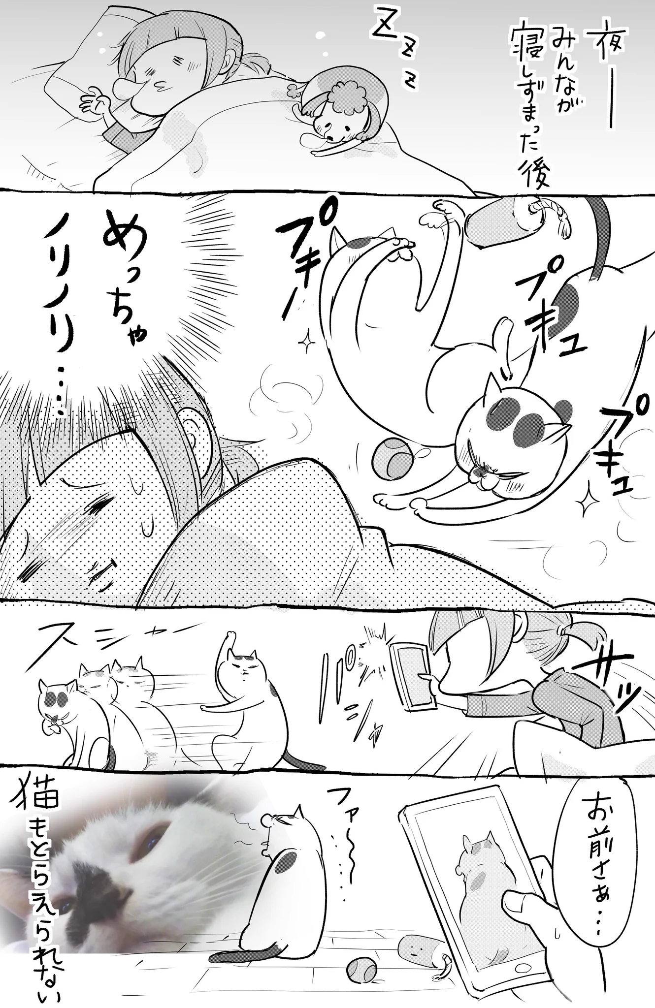 これぞ猫の美学ｗｗｗ絶対に、はしゃいでいる姿を撮らせてくれない説ｗｗｗ