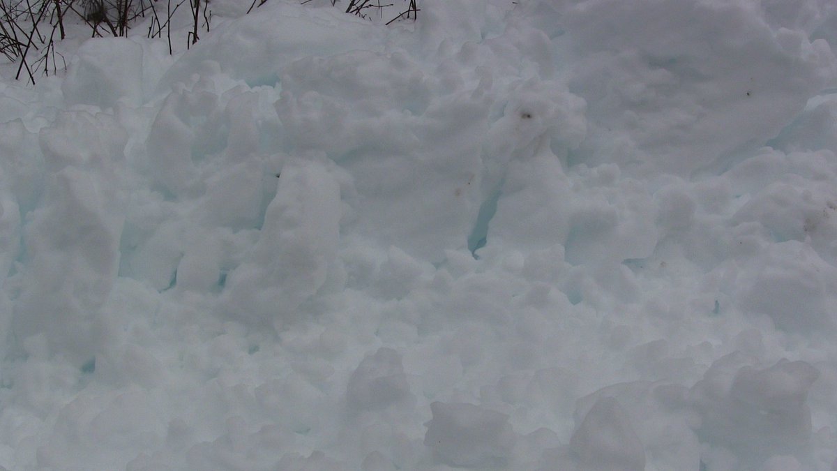 Check out the #bluesnow on the road beneath #Jessica on the #TransCanadaTrail (#TCT) and #KettleValleyRailroad #KVR near #CarolinMinesRoad exit from #Coquihalla.  #winterscenes #HopeBC