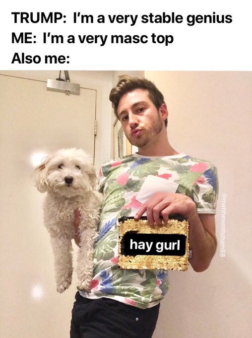 Ok gurl. #stablegenius https://t.co/mhsz4H2KnB<a href="/tag/stablegenius"class="tags">#stablegenius</a>