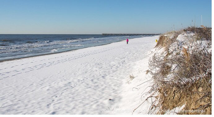 lachachara.org/2018/01/carnav… @marialusp