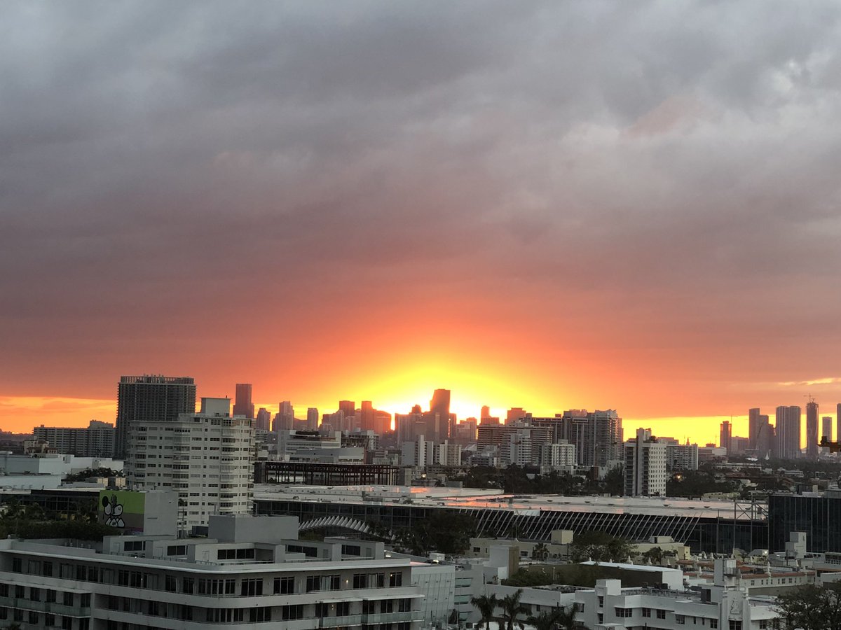 TheKrisWolfe's tweet photo. Feeling like country mouse in the city. #miami https://t.co/v4ZFtthkLD