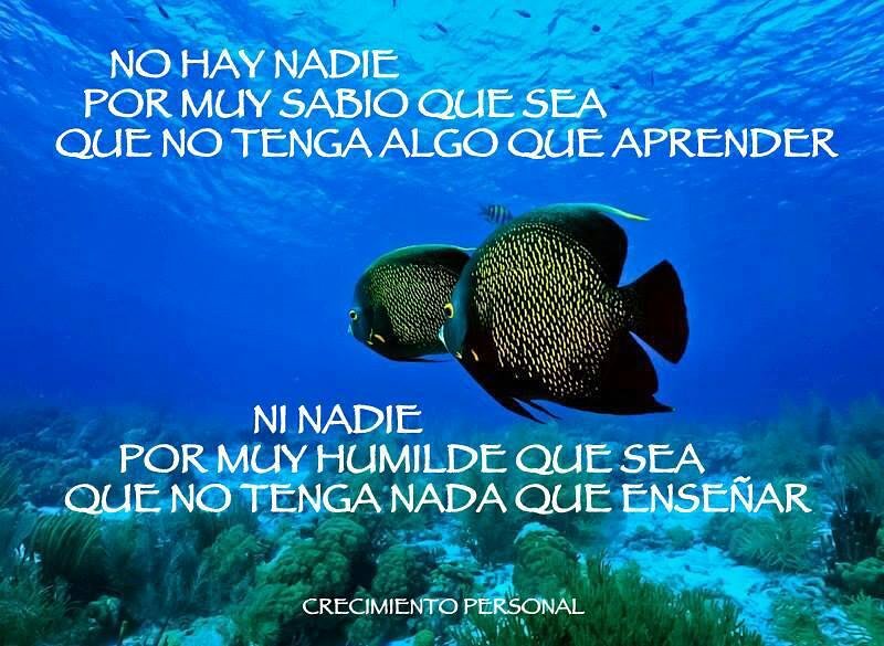 Katiaebusiness's tweet photo. Más info:

https://t.co/Wn8bE4HofZ

 #millonarios #exito #networkers
#Emprendedores #Criptomonedas #criptomoneda #ganardinero
#ETH #Ethereum
#CryptocurrencyNews #bitcoin #BitcoinCash #ethereum #ETH #AffiliateMarketing
#Ripple #IOTA #Cardano #tron #TRX https://t.co/RnEUu2O7F0