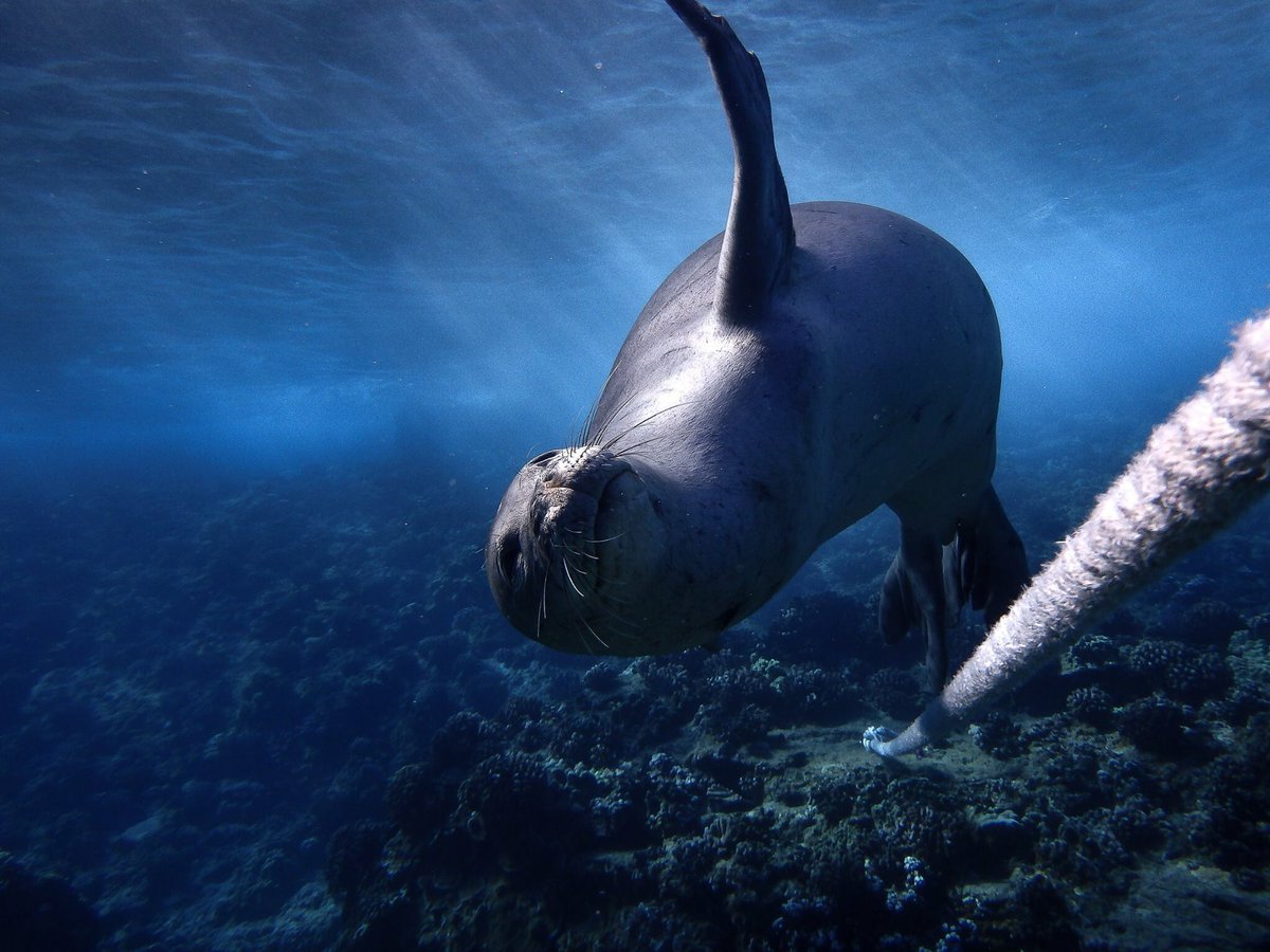 CMManagement's tweet image. Welcome to the official Twitter account of Creative Model Management. Please visit our website at cmmmodels.com, and be sure to follow us for updates. #CMM #Modeling #Models #TalentAgency #MaleModels #FemaleModels