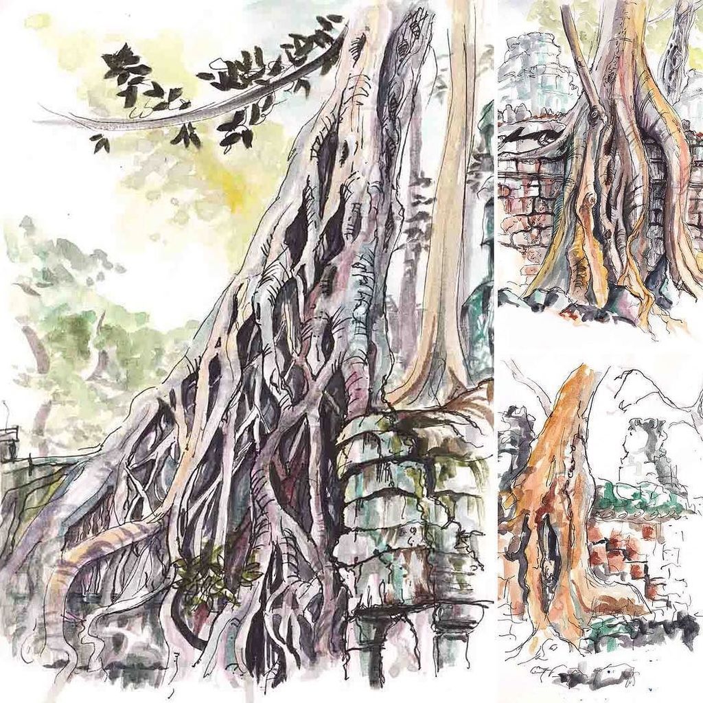 #ayearago I was sketching Banyan trees the size of... #reallybigtrees at #taprohm #taprohmtemple  #tombraidertemple #tombraider #laracroft #ilovelaracroft #adreamcometrue #Angkor #cambodia #closetopassingout #pinapplesavedmylife #travel #travelsketching #ilovecambodia #visit…