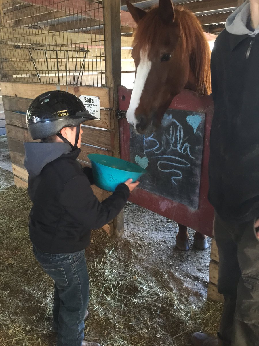 calebscrew's tweet photo. When it’s freezing out but you want to give your best horse a treat. @HappyAcresJAX #specialolympics #equestrian  🐴 https://t.co/knNBItUwCi