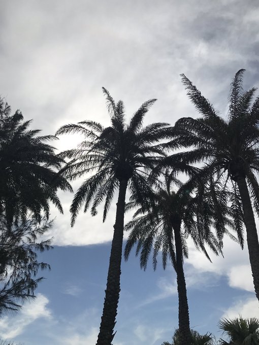 Twitterのコスプレ画像16