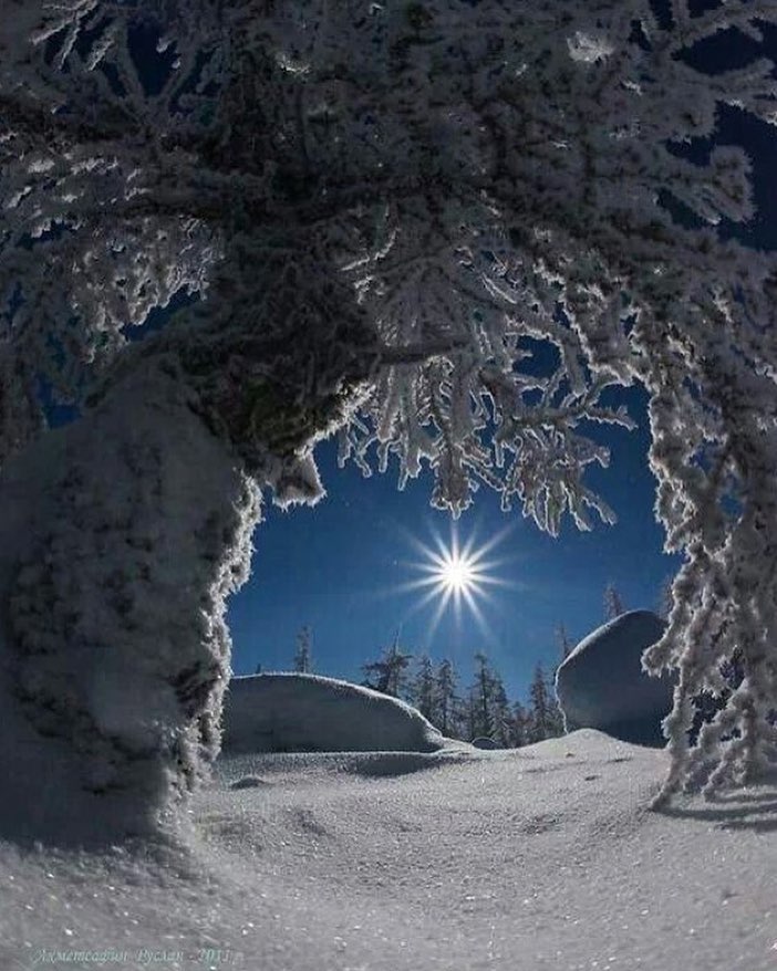 The beauty of winter.