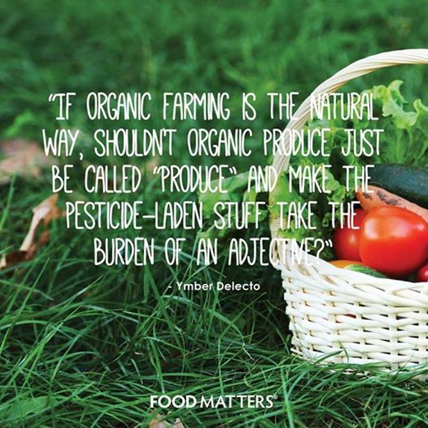 That makes you think... 

#foodmatters #organic #produce #foodmedicine #youarewhatyoueat